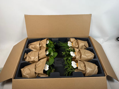 BBQ kruidenmix - 12cm pot 6 stuks