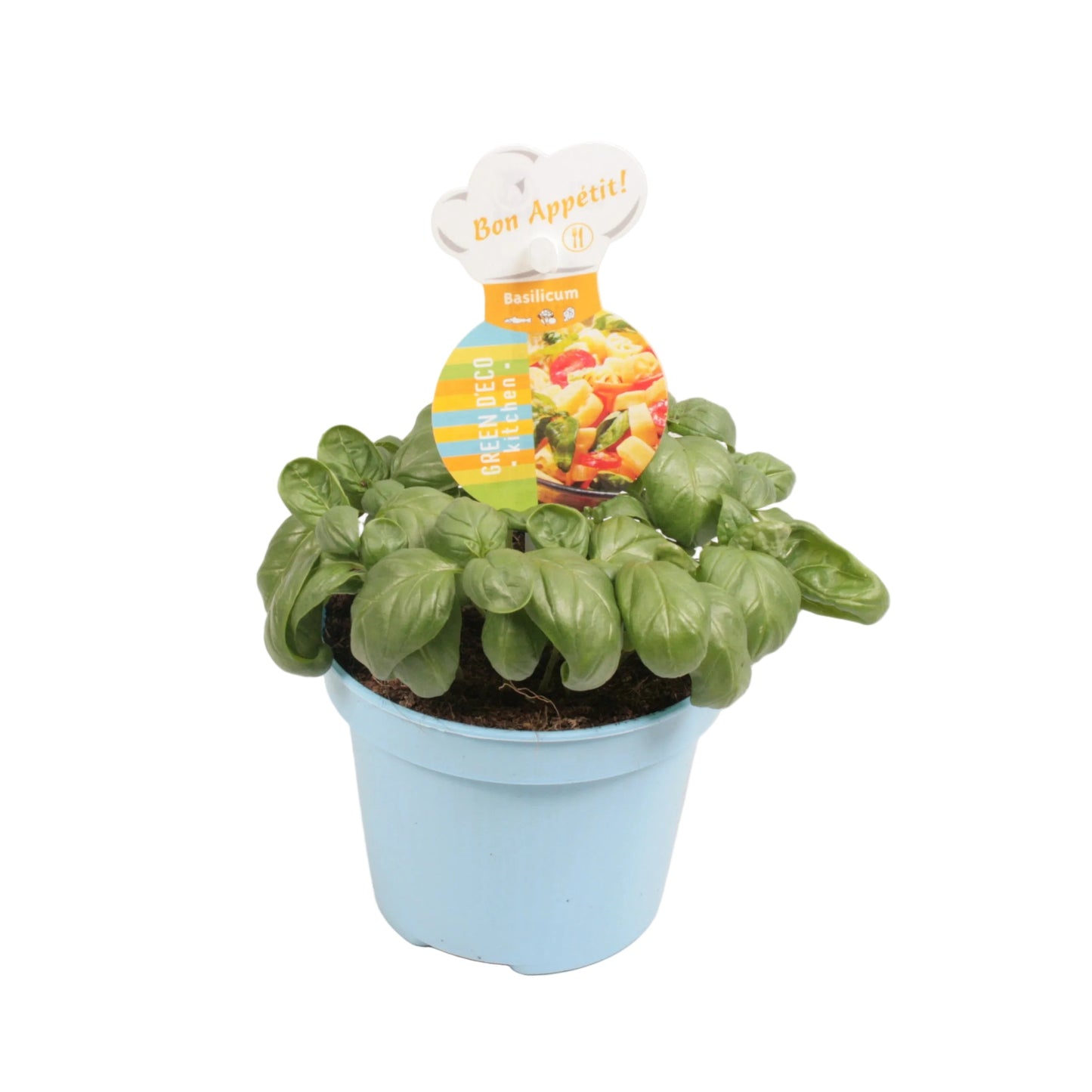 Basilicum - 12cm pot