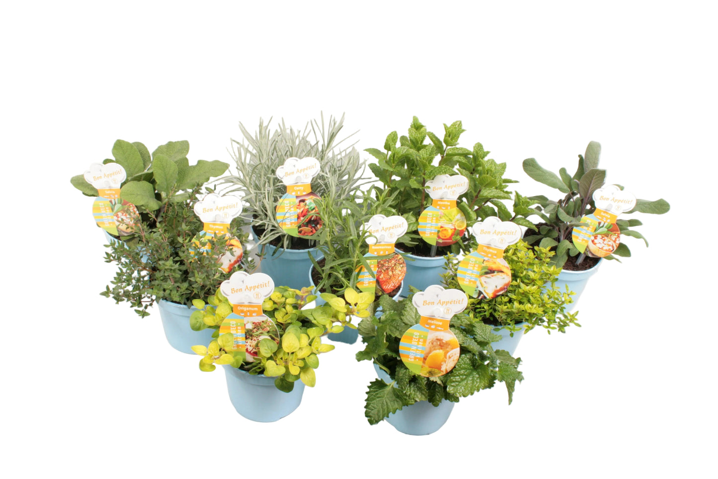 BBQ kruidenmix - 12cm pot 6 stuks